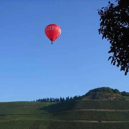 Ferienhaus Mosel Dom wakacyjny *