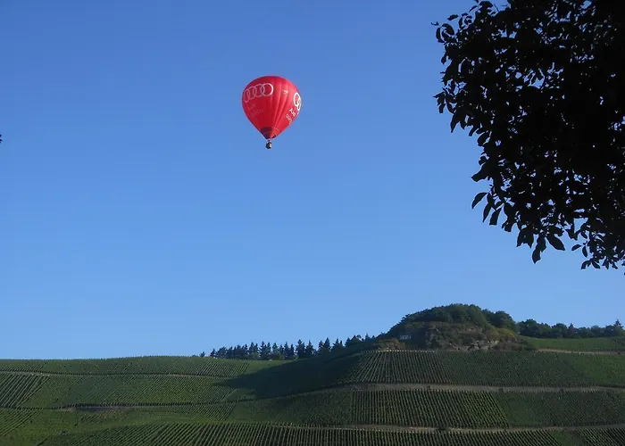 Ferienhaus Mosel 펜션 *