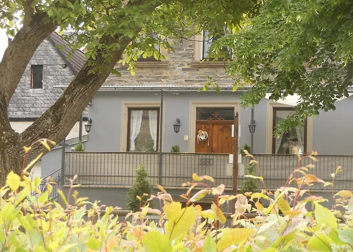Ferienhaus Mosel 펜션 *